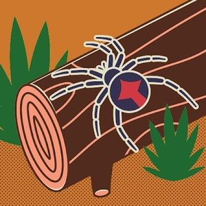 Meet your Posher, Brook